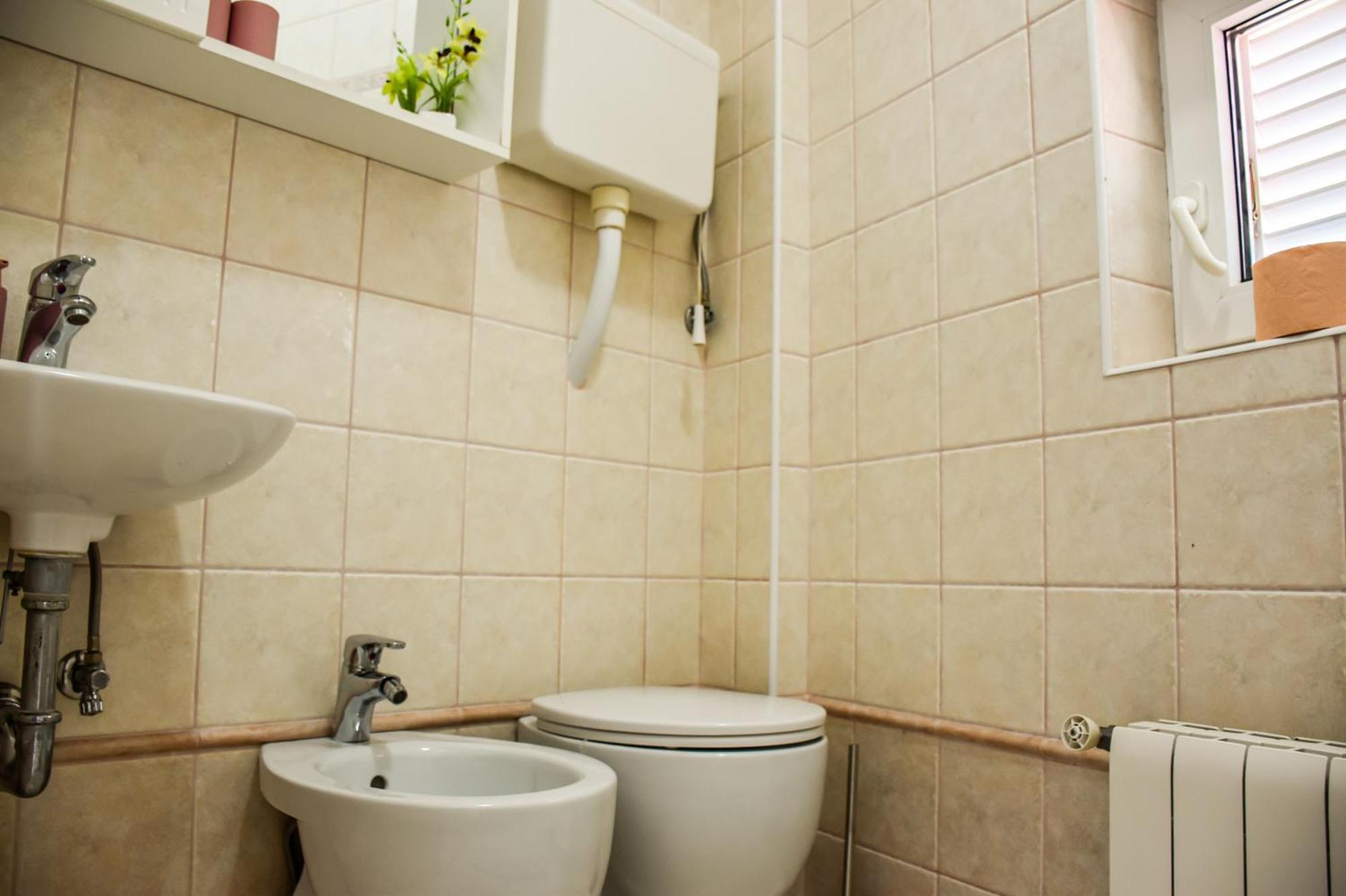 Apartment Zanic نوفي فينودولسكي المظهر الخارجي الصورة